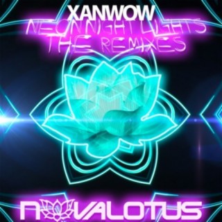 Neon Night Lights - The Remixes