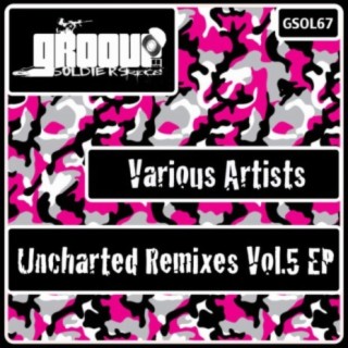 Uncharted Remixes Vol.5 EP