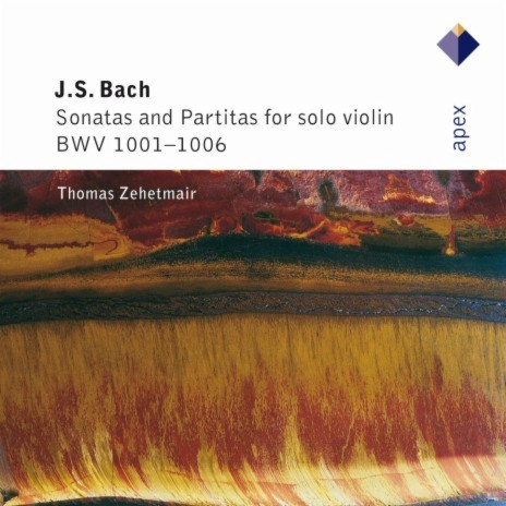 Sonata for Solo Violin No. 1 in G Minor, BWV 1001: II. Fuga. Allegro | Boomplay Music