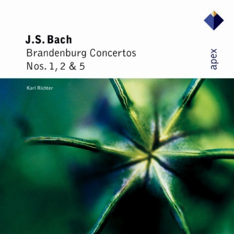 Brandenburg Concerto No. 1 in F Major, BWV 1046: II. Adagio | Boomplay Music