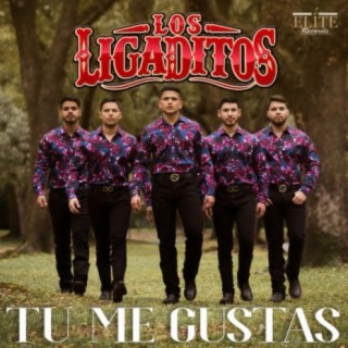 Los Ligaditos