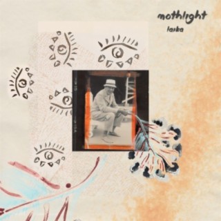 Mothlight