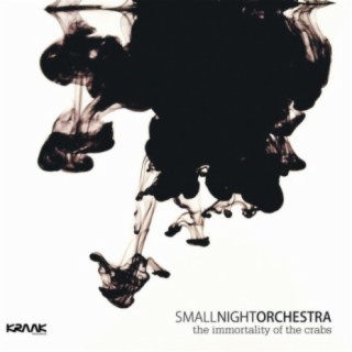Small Night Orchestra