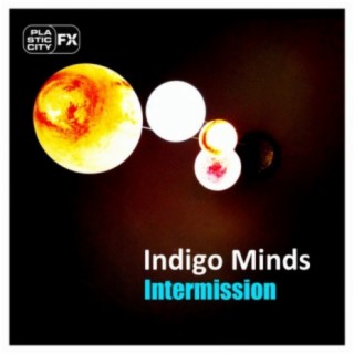 Indigo Minds