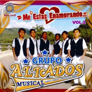 Grupo Aliados Musical