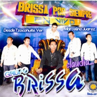 Grupo Brissa