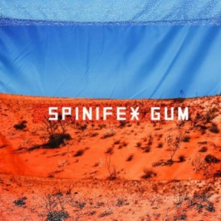 Spinifex Gum