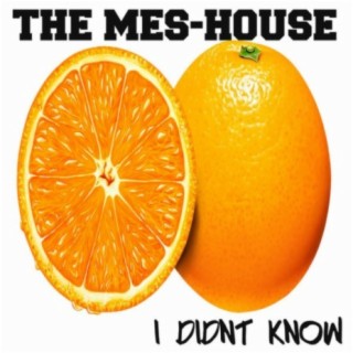 The Mes-House