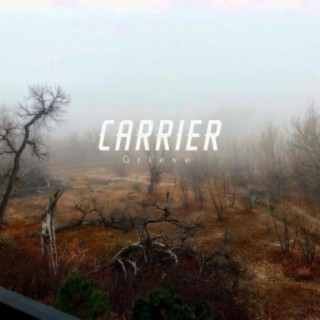 Carrier