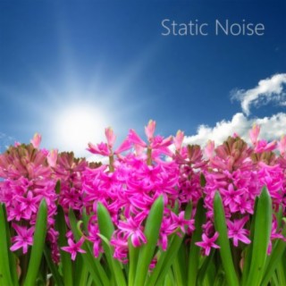 Static Sleep Noise