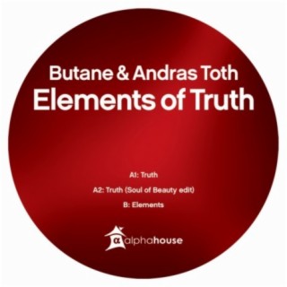 Elements Of Truth