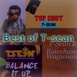 Best of T-sean