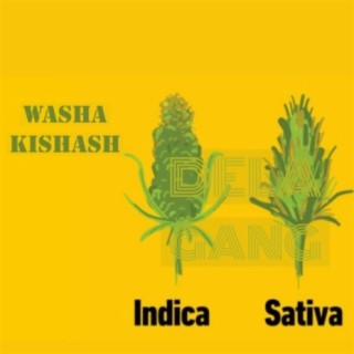 Washa Kishash