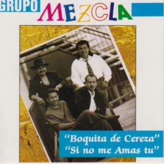 Grupo Mezcla