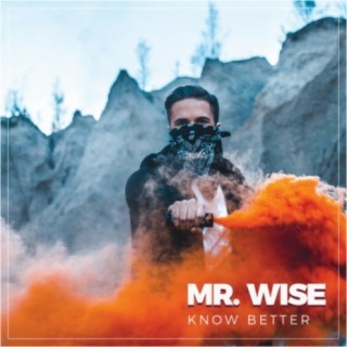 Mr. Wise