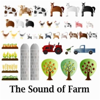 The Sound of Farm