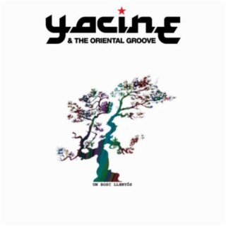 Yacine & The Oriental Groove