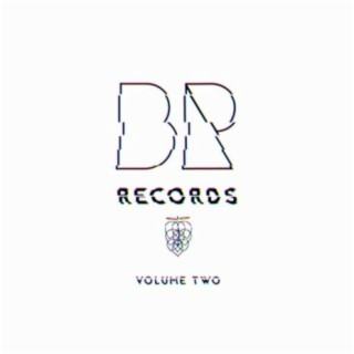 Bike Rack Records, Vol. 2
