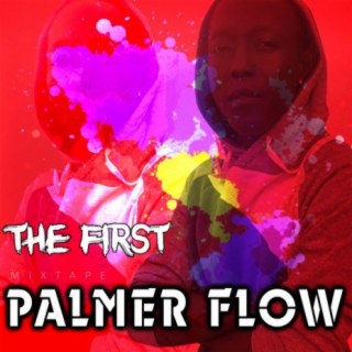 Palmer Flow