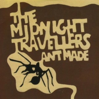 The Midnight Travellers