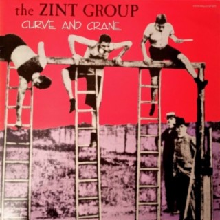 Zint Group