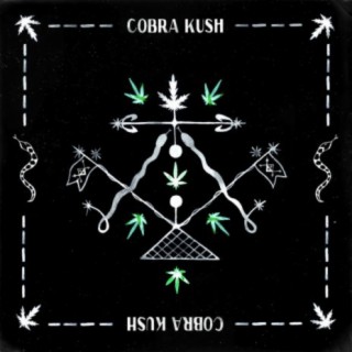 Cobra Kush