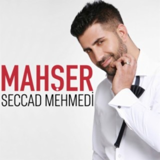 Seccad Mehmedi