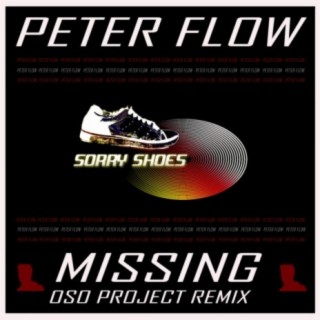 Missing (Oso Project Remix)