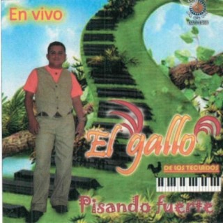 El Gallo de Los Teclados