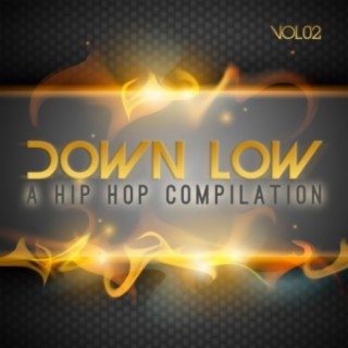 Down Low Hip Hop Compilation, Vol. 2