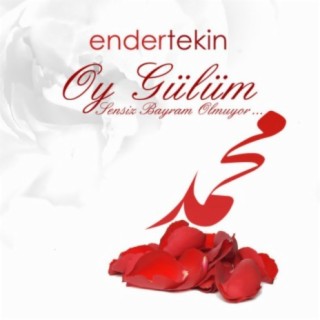 Ender Tekin