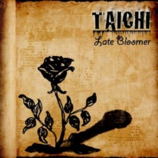 Taichi