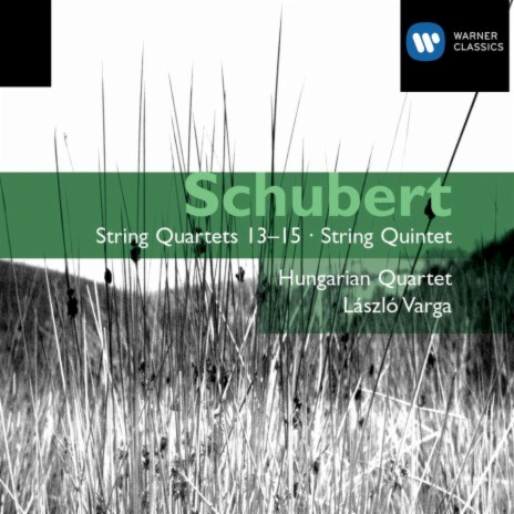 String Quintet in C Major, Op. 163, D. 956: IV. Allegretto - Più allegro ft. Laszlo Varga | Boomplay Music