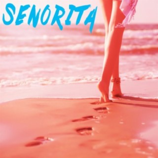 Senorita (Instrumental) lyrics | Boomplay Music