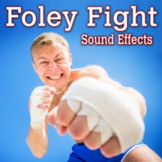 Foley Fight Sound Effects