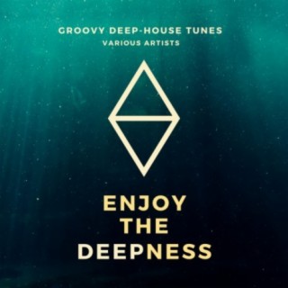 Enjoy The Deepness (Groovy Deep-House Tunes)