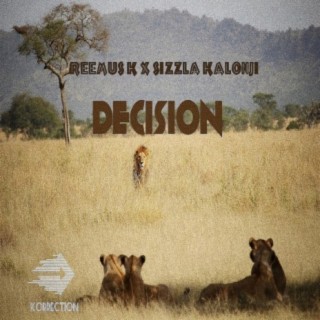 Decision (feat. Sizzla Kalonji)