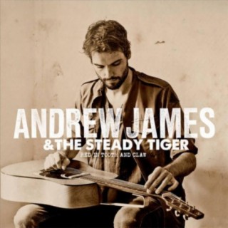 Andrew James & the Steady Tiger