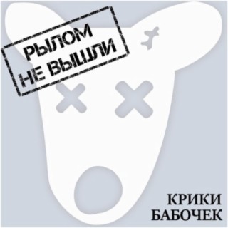 Рылом не вышли