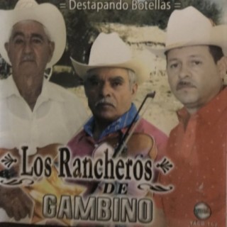 Los Rancheros y Gambino
