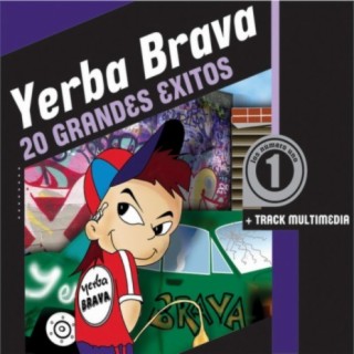 Yerba Brava