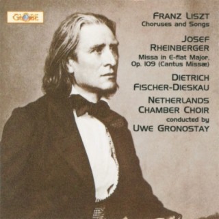Liszt - Rheinberger