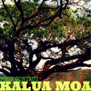 Kalua Moa