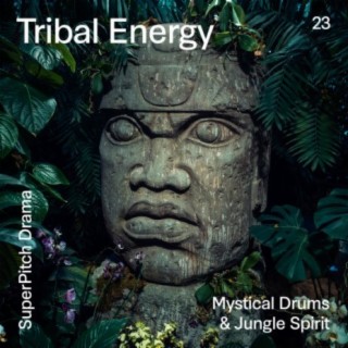 Tribal Energy (Mystical Drums & Jungle Spirit)