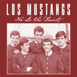 Los Mustangs