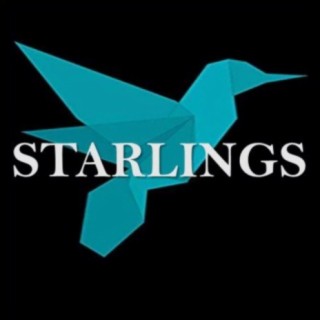 Starlings