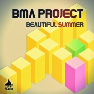 Bma Project