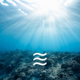 The Ocean Waves Sounds: Relaxing Sleep Nature Sounds