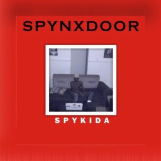 Spynxdoor