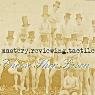 Mastery.Reviewing.Tactile
